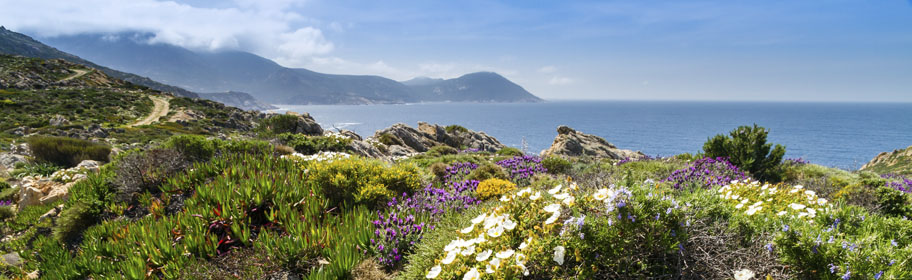 Vacances d'avril et de printemps en Corse
