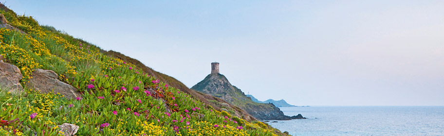 îles sanguinaires ajaccio corse