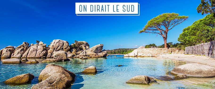 location corse du sud