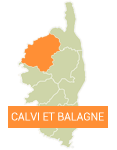 carte corse calvi