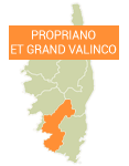 carte corse propriano